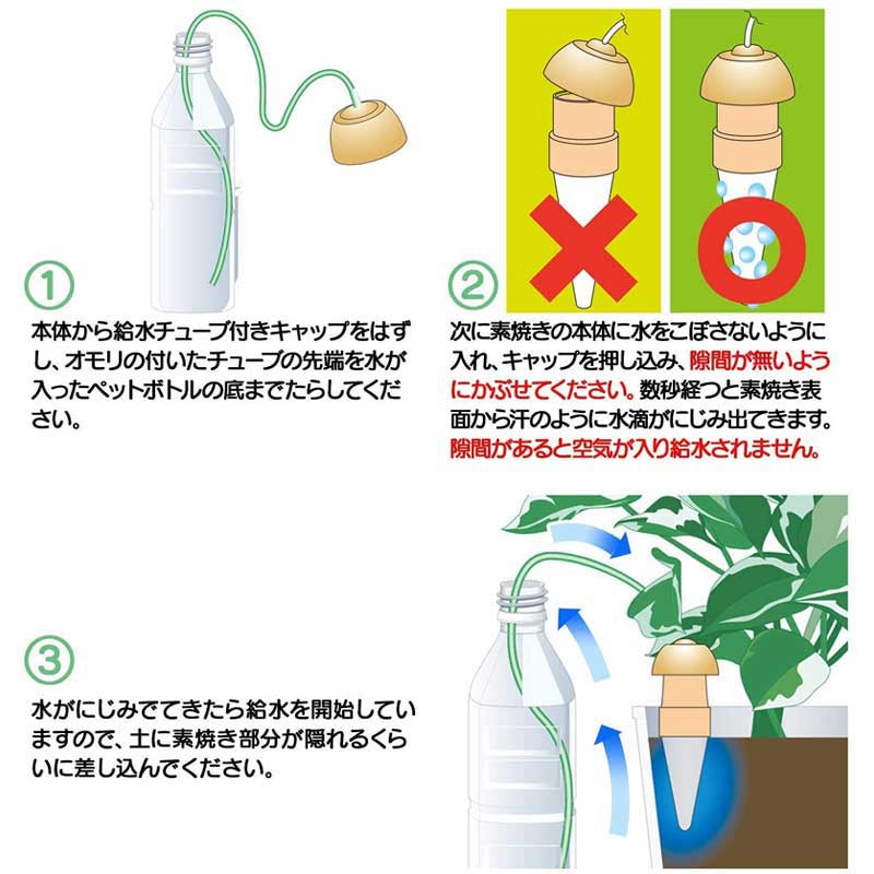 �ޥ�ϥ����� �������� M������ 2����