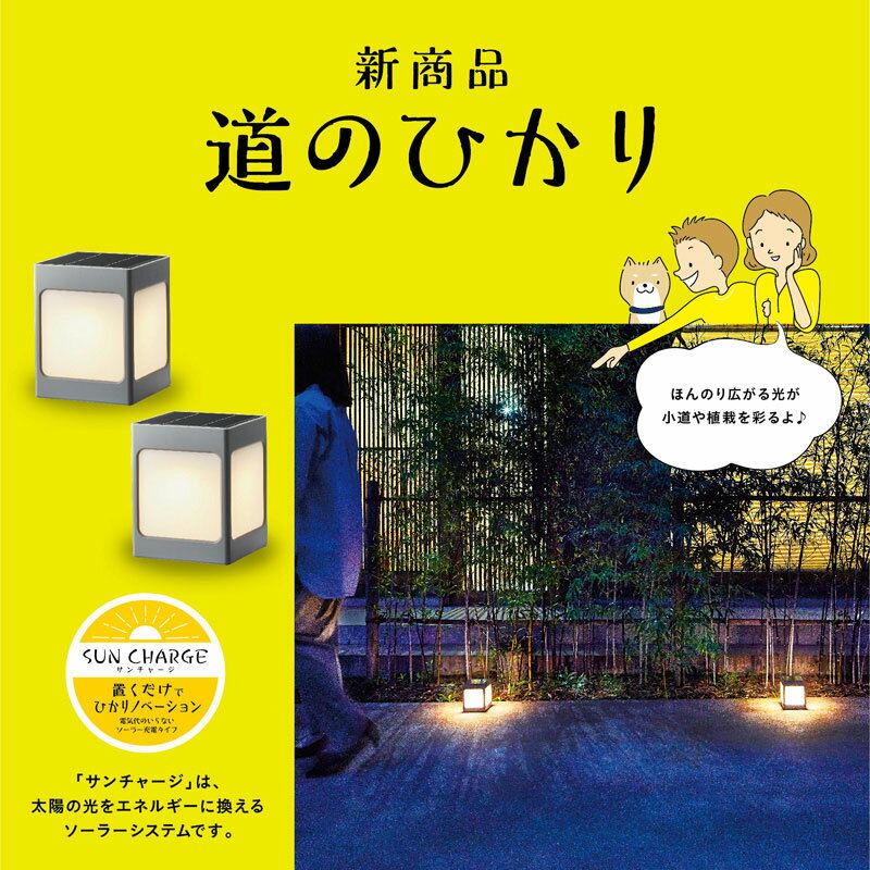 �������硼 �����顼�饤�� �Ҥ���Υ١������ SUNCHARGE ƻ�ΤҤ��� 2�ĥ��å� LGS-LH01P