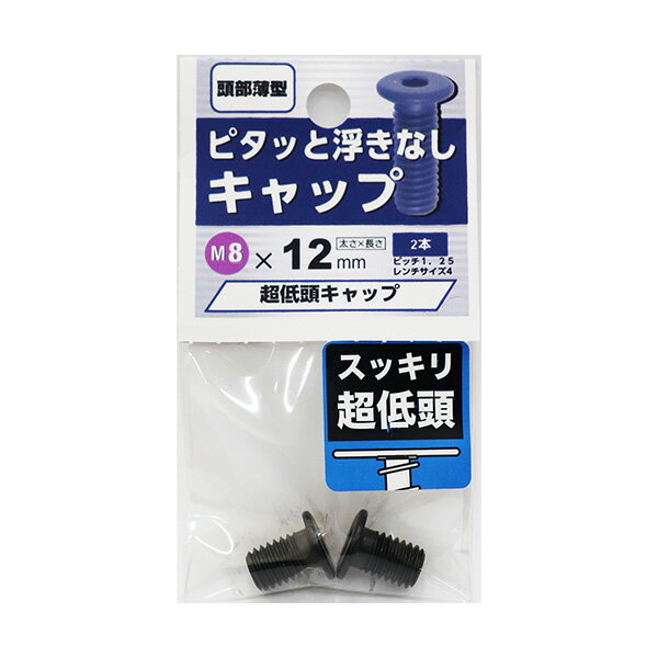  ���[���։� �����˂� ���ᓪ�L���b�v M8�~12mm 2�{��