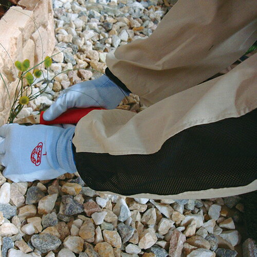 �ڥ᡼���زġ�ƣ������ ���եƥ���3 �����ǥ��ɲ��ӥ��С� �١�����