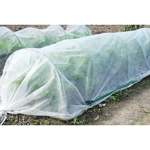 ƣ������ ���եƥ���3 �Ѹ����Կ��� 1.8m��5m