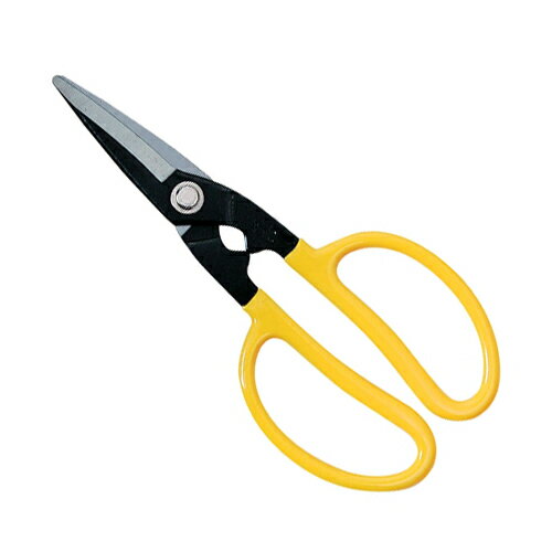 �ڥ᡼��������̵����ƣ������ SK11 ����Ϥ��� 195mm US-6