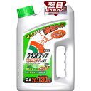 【最終有効年月2026年10月】日産化学工業 ラウンドアップ マックスロードALII 2L 基本＋速効タイプ そのまま使える速効タイプ