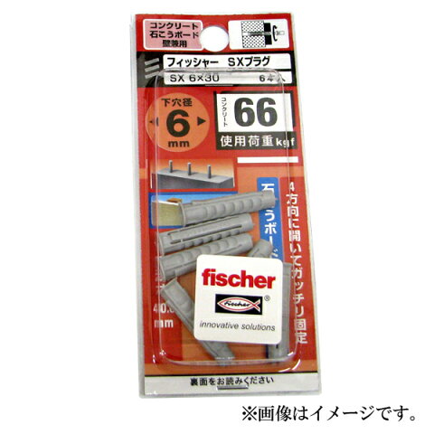【メール便可】fischer フィッシャー SXプラグ 6×30 6本入