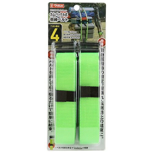藤原産業 E-Value カムバックル式荷締ベルト BT-2540LG 2pcs