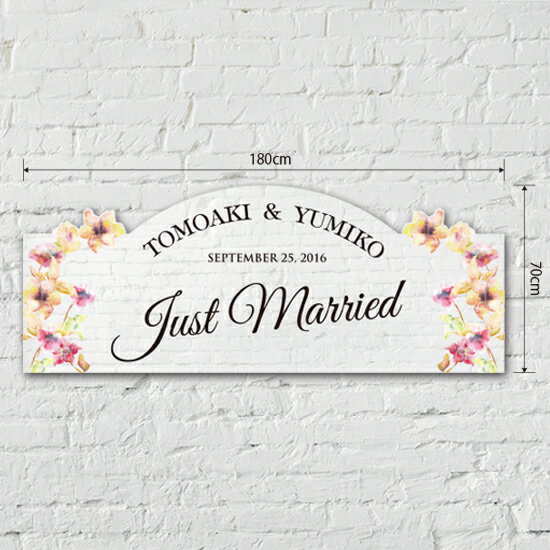 �����륫��ܡ��� �֤����뺧�� �󼡲� ���󥹥����ե�����