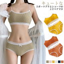 カップ付き ブラジャー 子供用 2点セット インナー ジュニアブラ スポブラ ショーツ 下着 ジュニア向け スポーツブラ 上下セット 肌着 ノンワイヤー 女子 ...