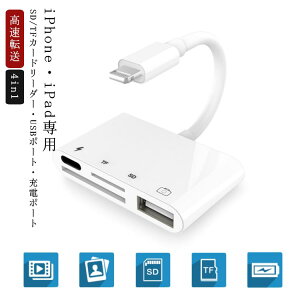 饤ȥ˥ ꡼ɥ꡼ iPhone iPad  4in1 USB ťݡ SDɥ꡼ TFɥ꡼ MicroSD Lightning SD  ꡼ ޥSDɥ꡼ iPhone12 iPad Proб ̿ ư  ž ̵