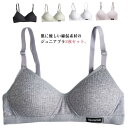 2枚セット ジュニアブラ ノンワイヤーブラ 綿 ブラジャー 中学生 小学生 下着 肌着 女子 子供ブラジャー 無地 可愛い キッズブラ レディース ガールズ イ...