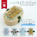 クールジェル 保冷 ランチバッグ お弁当 保冷剤 夏 かわいい 大人 女性 袋 ランチ 持ち運び 通勤 通学 幼稚園 保育園 運動会 遠足 ピクニック 手提げ ...