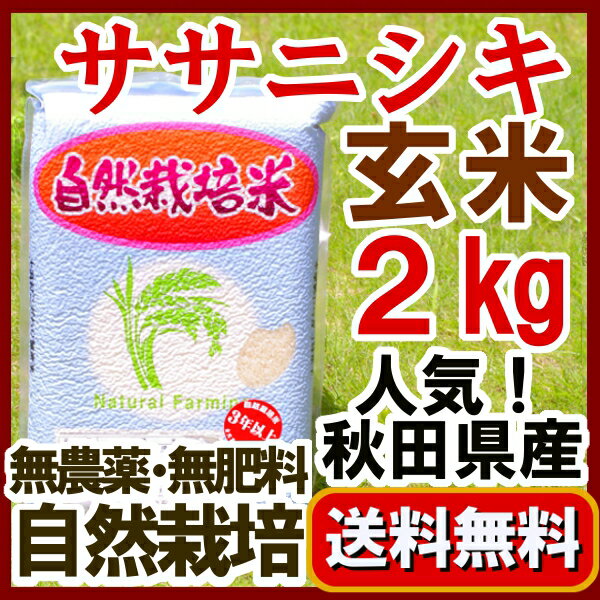 【訳あり良品米】無農薬 玄米 ササニシキ2kg【楽天1位】生産：石山農産（石山範夫 秋田県大潟村）自然栽培 奇跡のリンゴで有名な「木村秋則農法米ササニシキ」有機 志向、アレルギー過敏のお客様へ。秋田県産 自然栽培米、無農薬玄米、無農薬米【RCP】