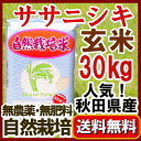 新米 無農薬無肥料「ササニシキ 玄米 30kg」真空パック 予約注文【全お米で第1位】送料無料　2023年（令和5年）産 / 自然栽培 /自家採種米/ 長期保存のため家庭での備蓄米としても / 　真空パックの不具合は 5kg袋1個当たり500円（税別）の差額精算します。