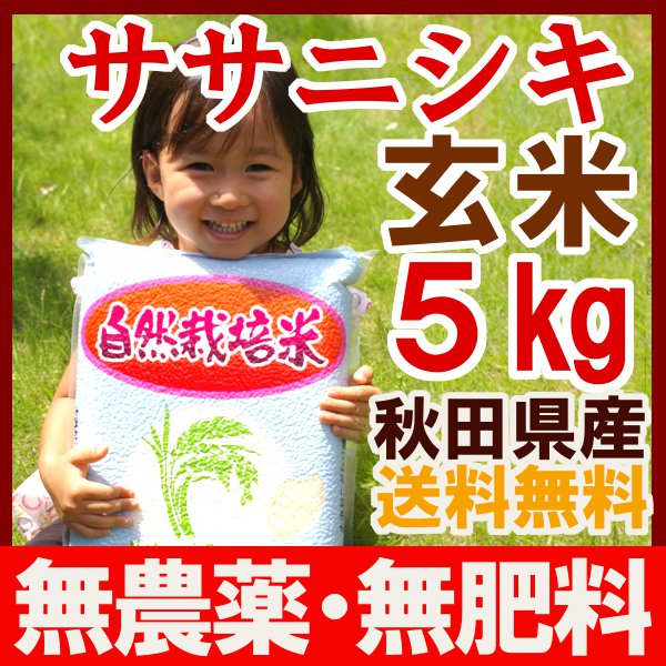 無農薬無肥料「ササニシキ 玄米 5kg」真空パック 予約注文