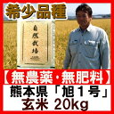 無農薬 『旭1号 玄米 20kg 』 九州産の自然栽培【新米...