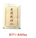 【訳あり】玄米 【九州産 お米】 熊本県産　幻の極上米 「旭1号」2023年（令和5年）産 無農薬　ササニシキとコシヒカリの三代祖先（元田農園）玄米 5kg【送料無料】無農薬米。真空パック 【RCP】