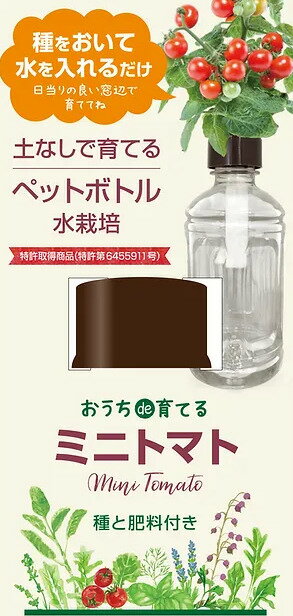 おうちde育てるペットボトル栽培 トマト 土なしで育てる 種 水 肥料 栽培キット 家庭菜園 ガーデニング おしゃれ かわいい 簡単