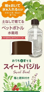 おうちde育てるペットボトル栽培 スイートバジル 土なしで育てる 種 水 肥料 栽培キット 家庭菜園 ガーデニング おしゃれ かわいい 簡単