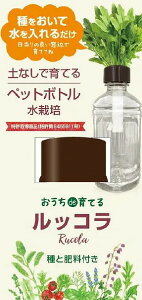 おうちde育てるペットボトル栽培 ルッコラ 土なしで育てる 種 水 肥料 栽培キット 家庭菜園 ガーデニング おしゃれ かわいい 簡単