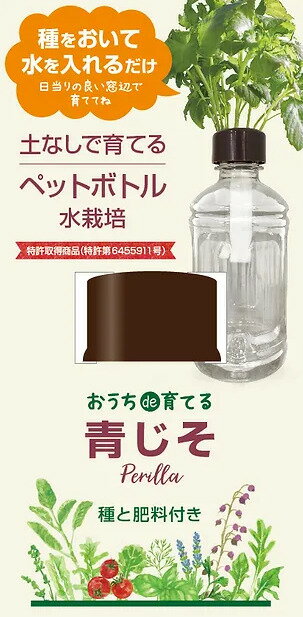 聖新陶芸 GD-812 育てる水草 S 学習教材 プレゼント 植物栽培セット ギフト 父の日 景品 母の日