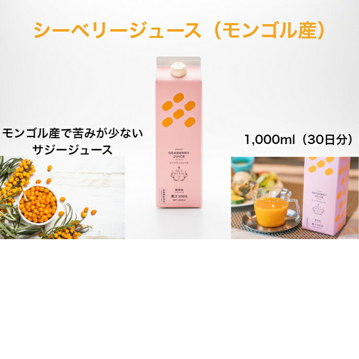 サジージュース 1000ml お試し サジー 鉄分 シーベリー 100% ストレート 沙棘 モンゴル国産 無添加 100％天然のサムネイル