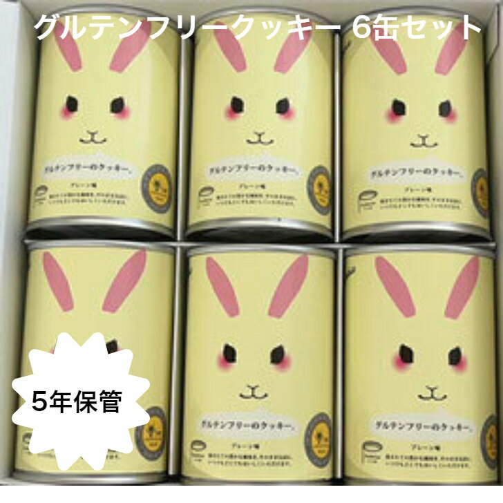 グルテンフリークッキー 缶詰 6缶セット 特定原材料7品目不使用 非常食 パン 缶詰 防災 長期保存 ギフト ハラール チョコチップ ハラール認証 パンダ