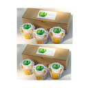 【北海道苫前町 上田ファーム】かぼちゃプリン 3個入×2箱(6個)