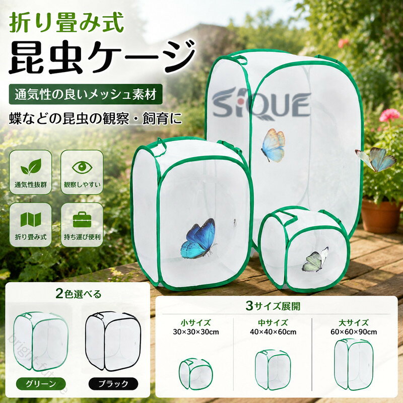 楽天市場】昆虫 ネット boxの通販