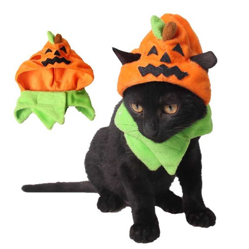 ����Ź�ݥ����5�ܡۥϥ������� �ڥå��� �ڥåȲ��� �ϥ������� �����ץ� �ڥå��� �� �ڥå��� ������ �ڥå��� �İ��� ������� �ڥå� �ϥ������󥰥å�...