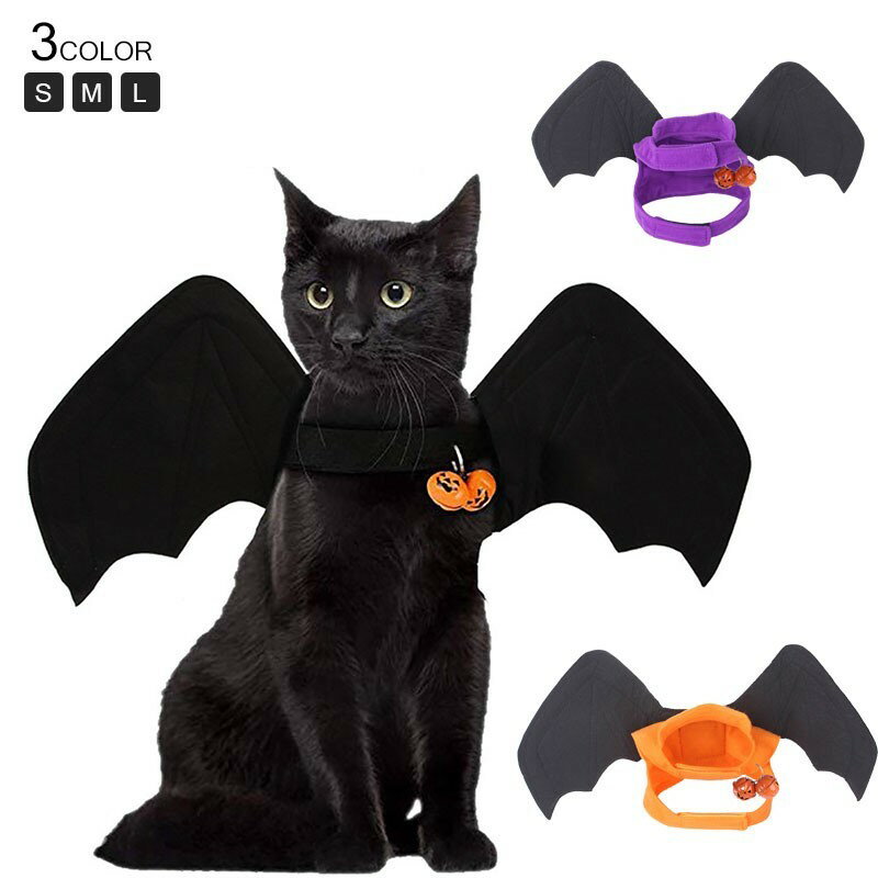 ����Ź�ݥ����5�ܡ����դ� �ڥå� �ڥå��� �ϥ������� �������塼�� �����ץ줳�����α� ���� ǭ�� ��ưʪ ���⤷�� ���� �İ��� �ѿ� ������ �淿�� ...