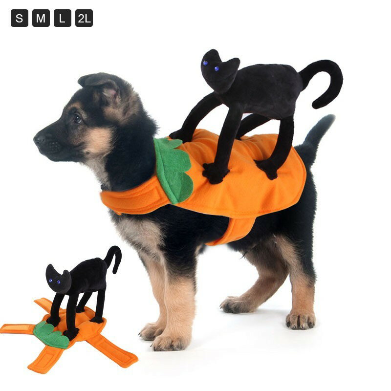 ����Ź�ݥ����5�ܡۥڥå� �ϥ������� �����ץ� ���� ���� �������塼�� �ͥ����� �ڥå� �ڥåȥ��å� �����ץ���� �İ��� �ѿ� ��ʪ �� �ͥ� �� ����...