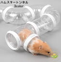 ペット用おもちゃ ハムスタートンネル ハムスターパイプ 小動物用 アスレチックパイプ ショートパイプ 連結 組み立て DIY ストレス発散 遊び 運動不足解消 ...