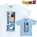 送料無料（メール便）代引決済不可【BDB83104M】ドラゴンボール ベジータ 半袖 Tシャツ キャラクター 漫画 コミックス アニメ 映画 クルー ネック 半袖Tシャツ メンズ レディース ホワイト サックス M L LL 3L 4Lサイズ