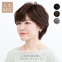 【返品・色交換OK】 医療用ウィッグ 人毛 人毛50% ウィッグ 自然 レディース 人毛MIX ショート ウイッグ バレない 人毛ミックス フルウィッグ 医療用...