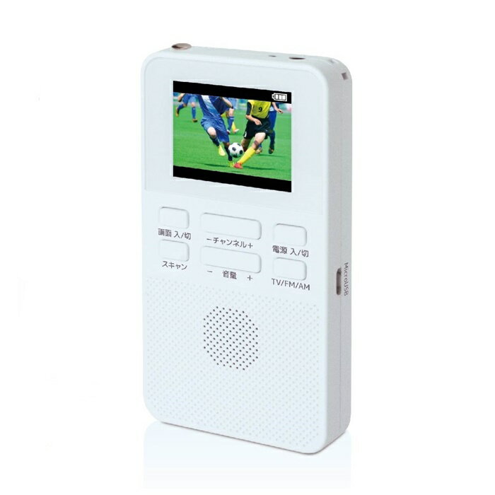 その他メーカーのテレビ YGTV2DC