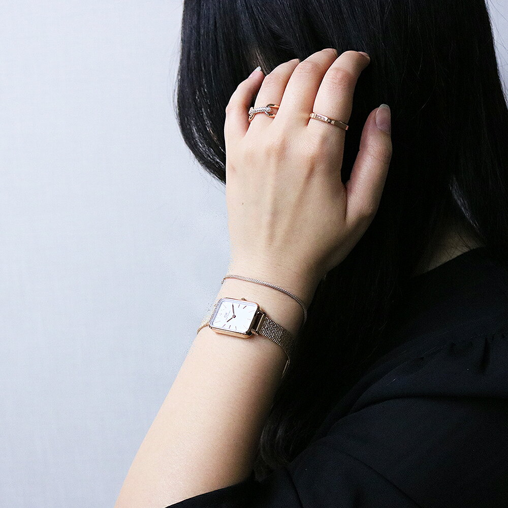 ダニエルウェリントン DANIEL WELLINGTON ブレスレットMesh bracelet 1.8 メッシュ...