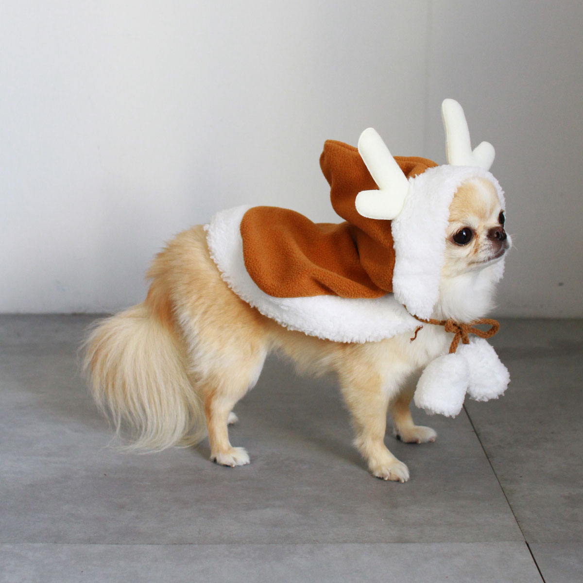 �ڥݥ����UP���ޥ饽�󳫺���۸�ǭ�ѥ����ץ� �ڥå� ���ʪ �ڥå�˹�� ��ǭ ˹�� ���󥿥������� �����ץ� ���ꥹ�ޥ� �⤳�⤳ ���󥿤��� �ݥ�ݥ��դ� ���ꥹ�ޥ��ĥ꡼ ���� �ȥʥ��� �����ץ� ��ǭ���� �����к� ���� ���� ���� �̿� ���� ��ñ����