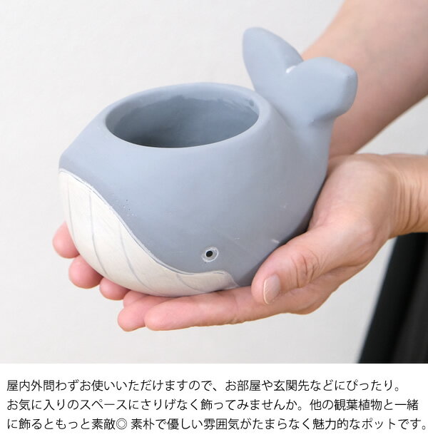 【新商品】CN31　クジラポット25L　くじら　鉢　植木鉢　鉢カバー　プランター　ガ...