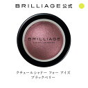 ブリリアージュ/BRILLIAGE/クチュールシャドー フォー アイズ ブラックベリー　アイシャドウ