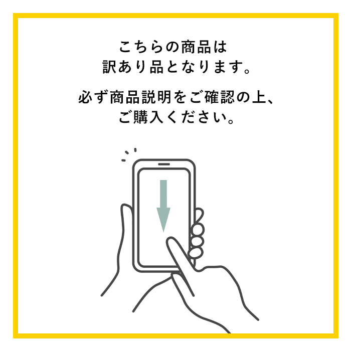 【アウトレット】ポーチ フラットポーチ 日本製 プレゼント キャンバス ガジェット ケース レディース ポーチ 小物入れ マチなし バッグインバッグ 男女兼用 化粧品 トラベルポーチ 無地 brilliantcolors-10001333 ブリリアントカラーズ Bag&雑貨 サンプル画像2