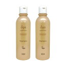 ● 2本セット ナンバースリー イルガ 薬用シャンプー 250ml 医薬部外品 サロン専売品 美容室専売 シャンプー 頭皮ケア NUMBER THREE NO3