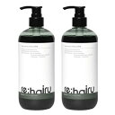 【正規販売店】 ● 【2本セット】 リハイル カラー シャンプー シルバー 500ml カラーケア ヘアカラー 銀 アッシュ ブリーチ ケア ポンプ 色落ち 防止 rehairu 大容量