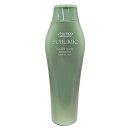 資生堂 サブリミック フェンテフォルテ シャンプー DS 250ml サロン専売 美容室専売 ヘアシャンプー スカルプ 頭皮 SHISEIDO