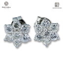 Pt900 ダイヤ ピアス プラチナ 0.25ct×2 0.55g×2 4月誕生石 ダイヤモンド レディース Used（M208211s)