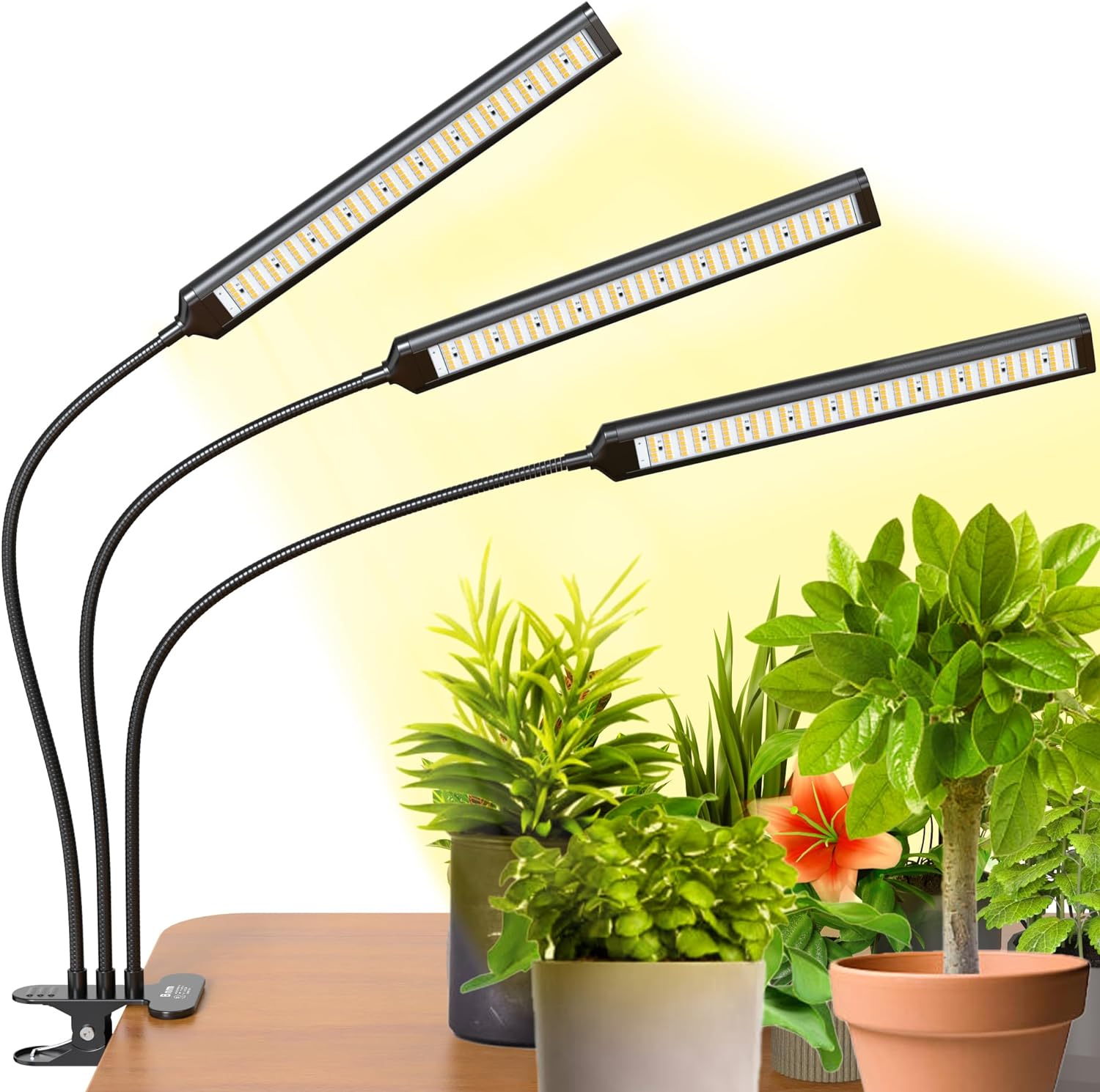   BRIM(u) FLORA A琬Cg LED  uh  ^C}[ Nbv tXyNg 26W (3wbh, BK gFn)