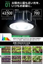 brimtokyo:10000025のサンプル画像3
