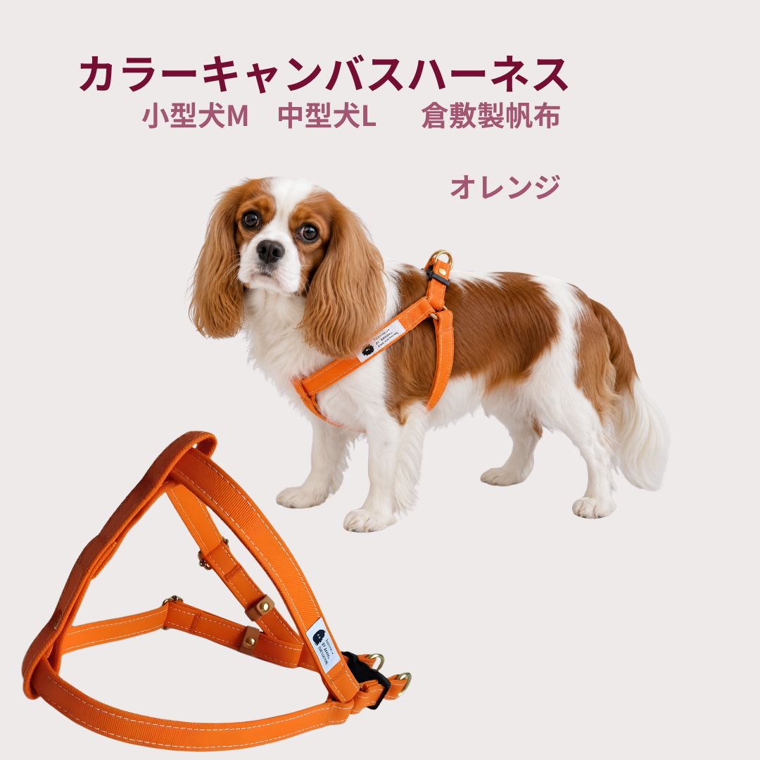 Rakuten - ハーネス 犬 胴輪 小型犬 中型犬 M L オレンジ 倉敷製帆布 日本製 首に優しい 足入れ構造