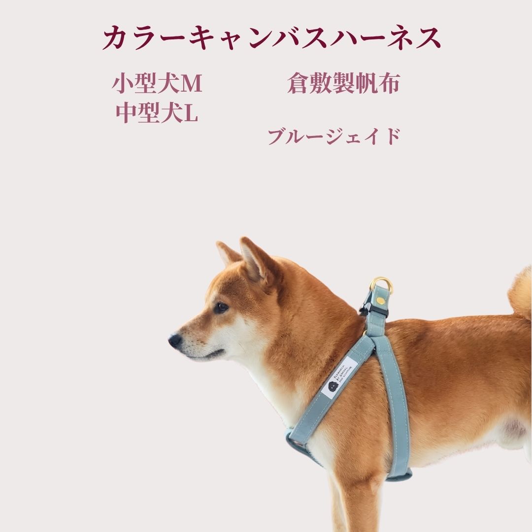 乐天商城 - 犬 ハーネス 小型犬 中型犬 丈夫 M L ブルージェイド 抜けにくい 食い込まない 倉敷製帆布 日本製 パグ トイプードル フレブル コーギー シュナウザー 柴犬 シーズー