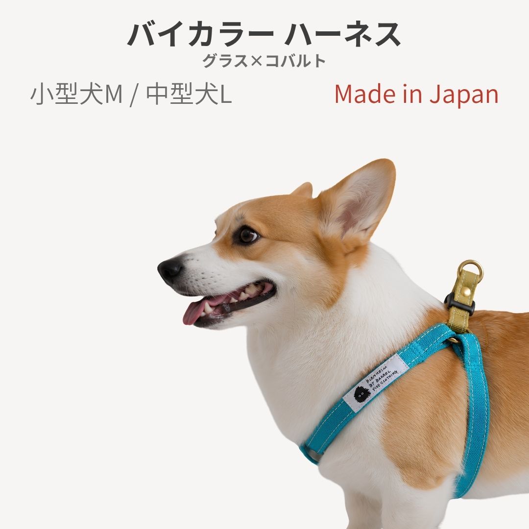 乐天商城 - ハーネス 胴輪 小型犬 中型犬 M L グラス×コバルト コーギー ボストンテリア 柴犬 トイプードル 肌に優しい天然素材 コットン100％ 倉敷製帆布 バイカラー 頭から入れない 簡単装着 首に優しい 負担が少ない 引っ張り癖 日本製