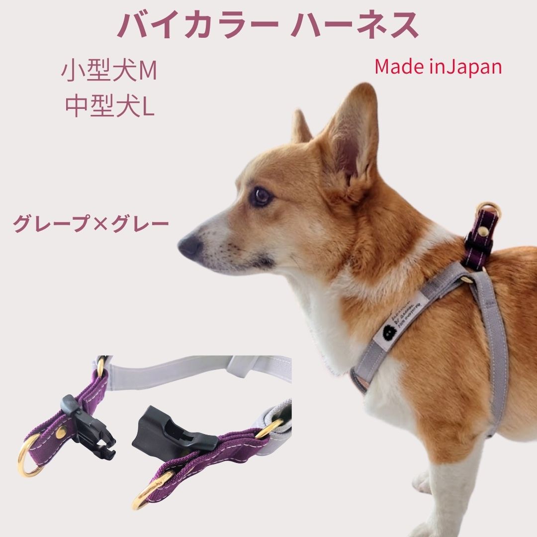 Rakuten - ハーネス 犬 胴輪 小型犬 中型犬 M L 食い込まない 肌に優しい コットン100％ 倉敷製帆布 グレープ×グレー 柴犬 トイプードル コーギー シーズー シュナウザー 日本製