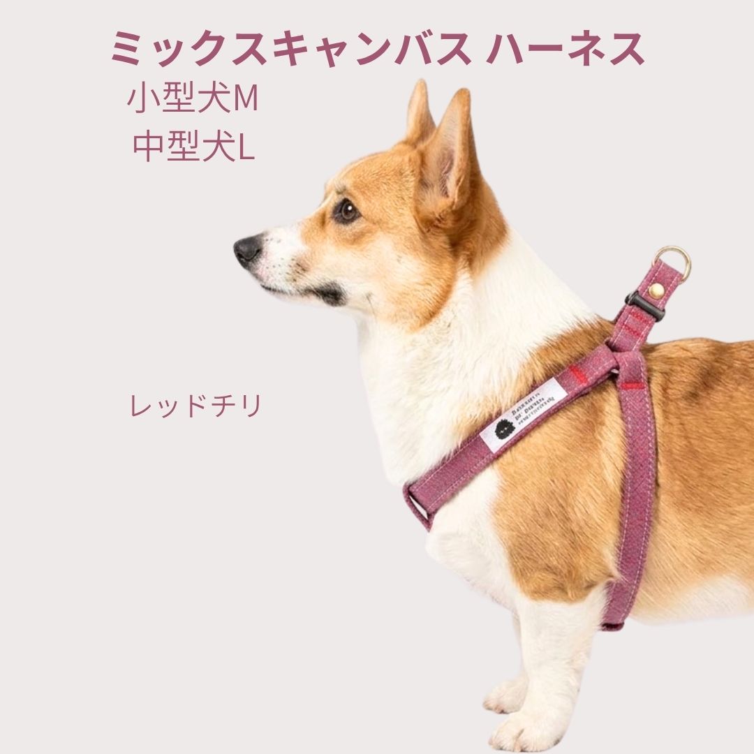 ハーネス 犬 小型犬 中型犬 レッドチリ M L...の商品画像